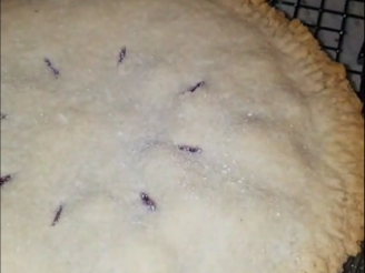 Perfect Flaky Pie Crust