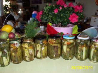 Homemade Canned Dill Pickles