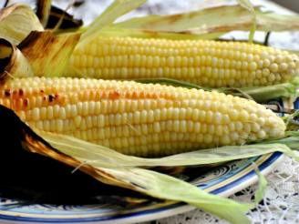 Grilled Fresh Sweet Corn on the Cob in Husks