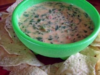 Barb's Spinach Queso Dip