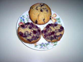 Cornmeal Blueberry Wheat Germ Muffins