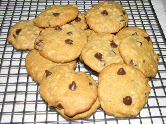 Chocolate Chip, Oatmeal, Walnut and Coconut Cookies