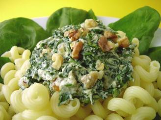 Spinach and Ricotta Cheese Sauce for Pasta