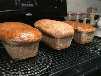 Homemade Spelt Bread