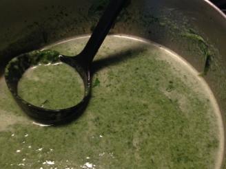Cream of Spinach Soup Recipe - Food.com