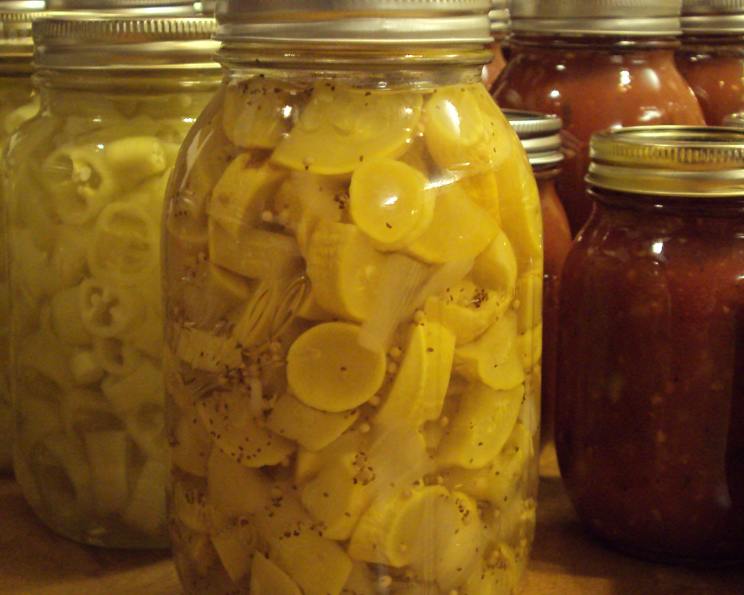 Bread and Butter Squash pickles Recipe