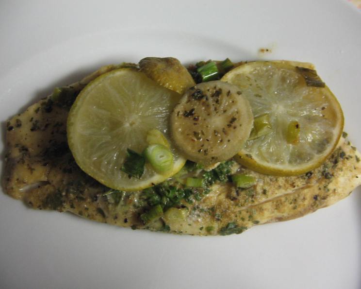 Cilantro Lime Fish Recipe