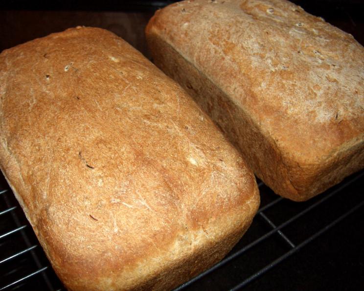 Sprouted Wheat Berry Bread Recipe