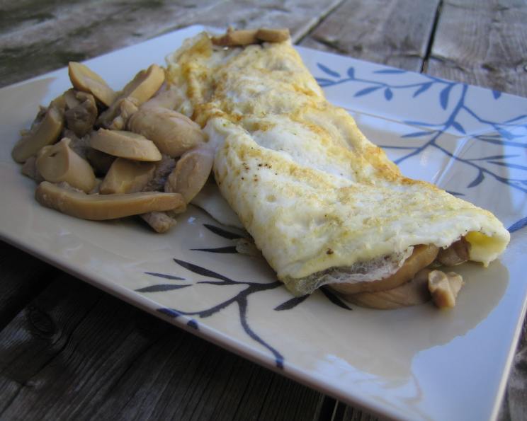 Mushroom Omelette for One Recipe - Food.com