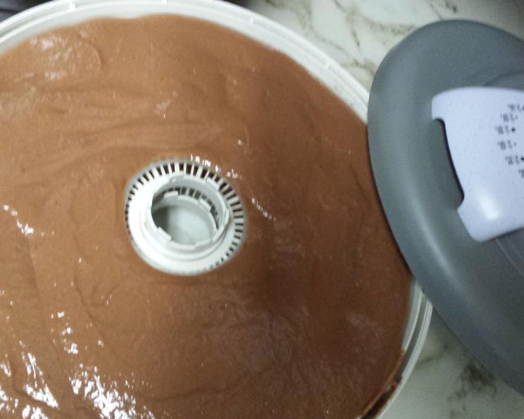 Chocolate Banana Fruit Roll Up/Fruit Leather (Dehydrator) Recipe