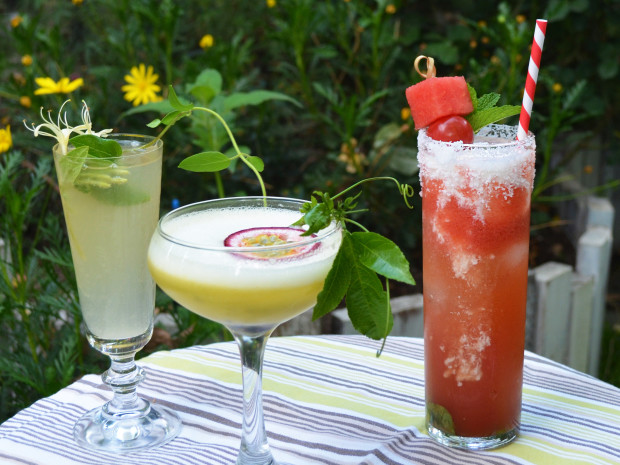 Cultivate the Chillest Happy Hour Garden