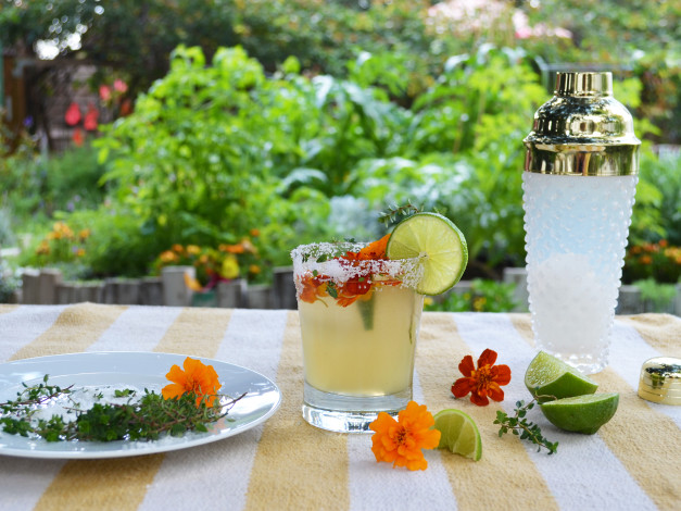 Cultivate the Chillest Happy Hour Garden