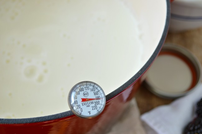 How to Make Yogurt