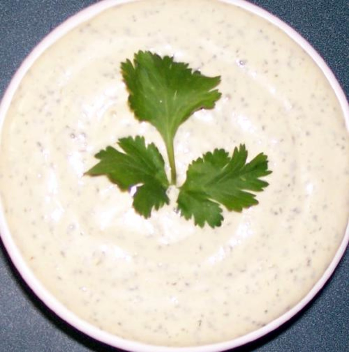 Cilantro Mayonnaise - South Beach Diet