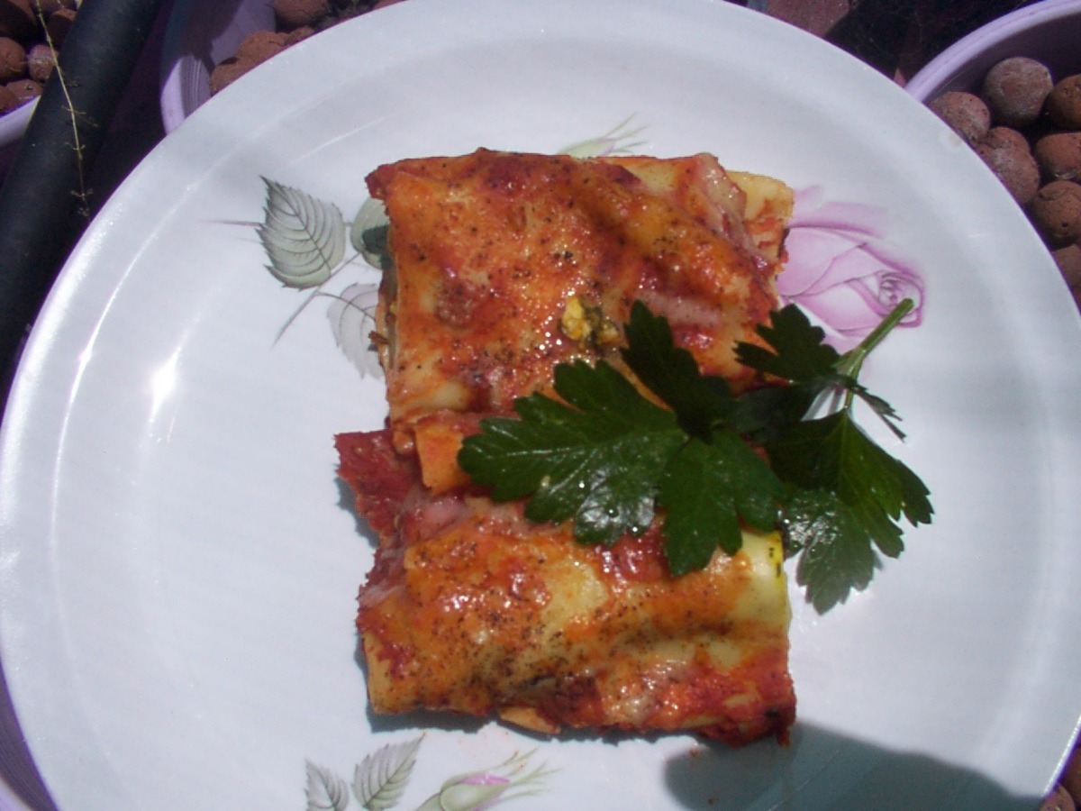 Chicken,pumpkin and Spinach Cannelloni