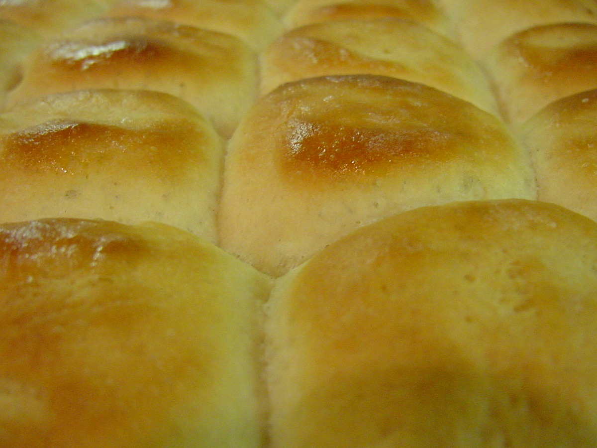 Best Easy Dinner Rolls Recipes