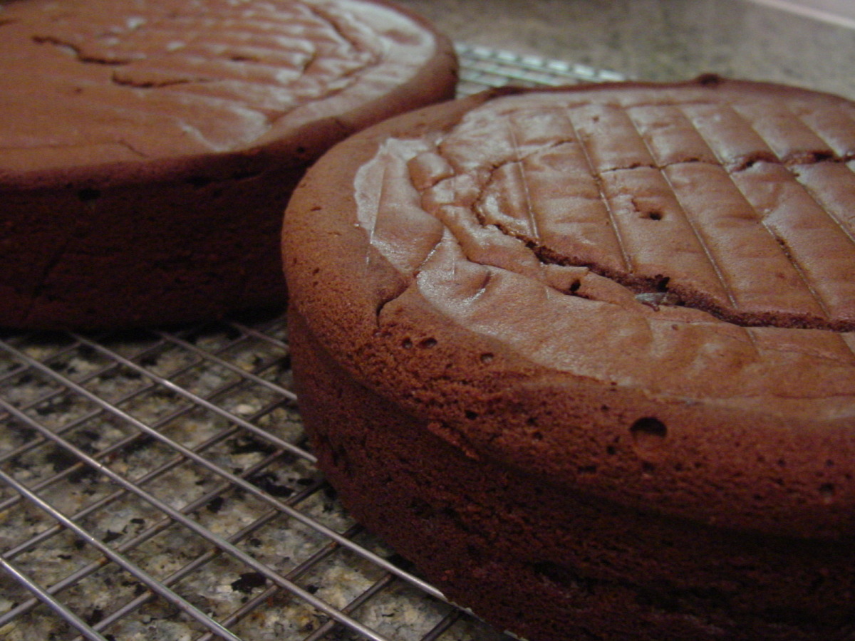 Double-layer Chocolate Cake_image