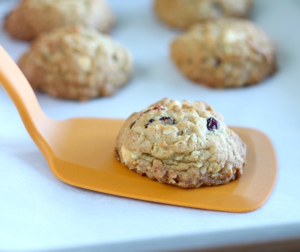 Cranberry Vanilla Chip Oatmeal Cookies