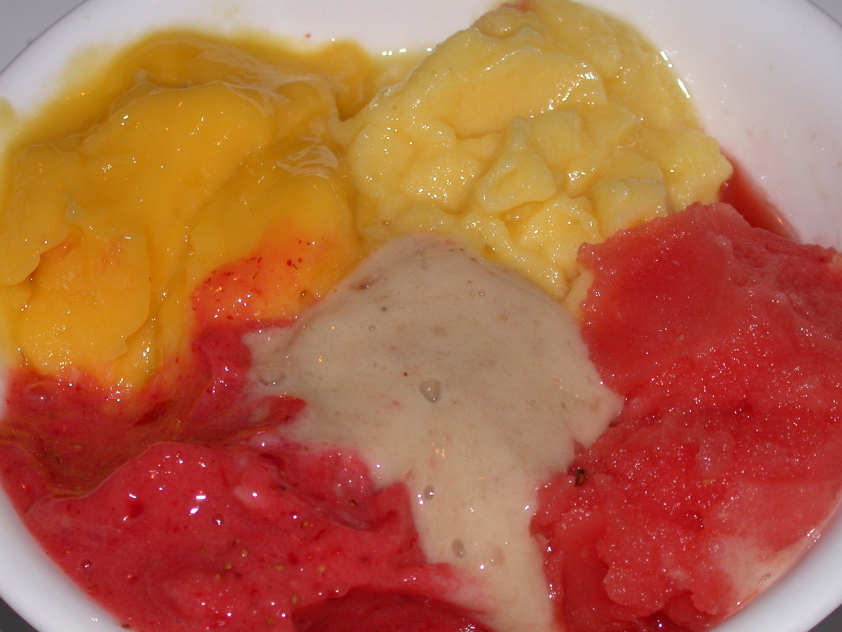Instant sorbet best sale