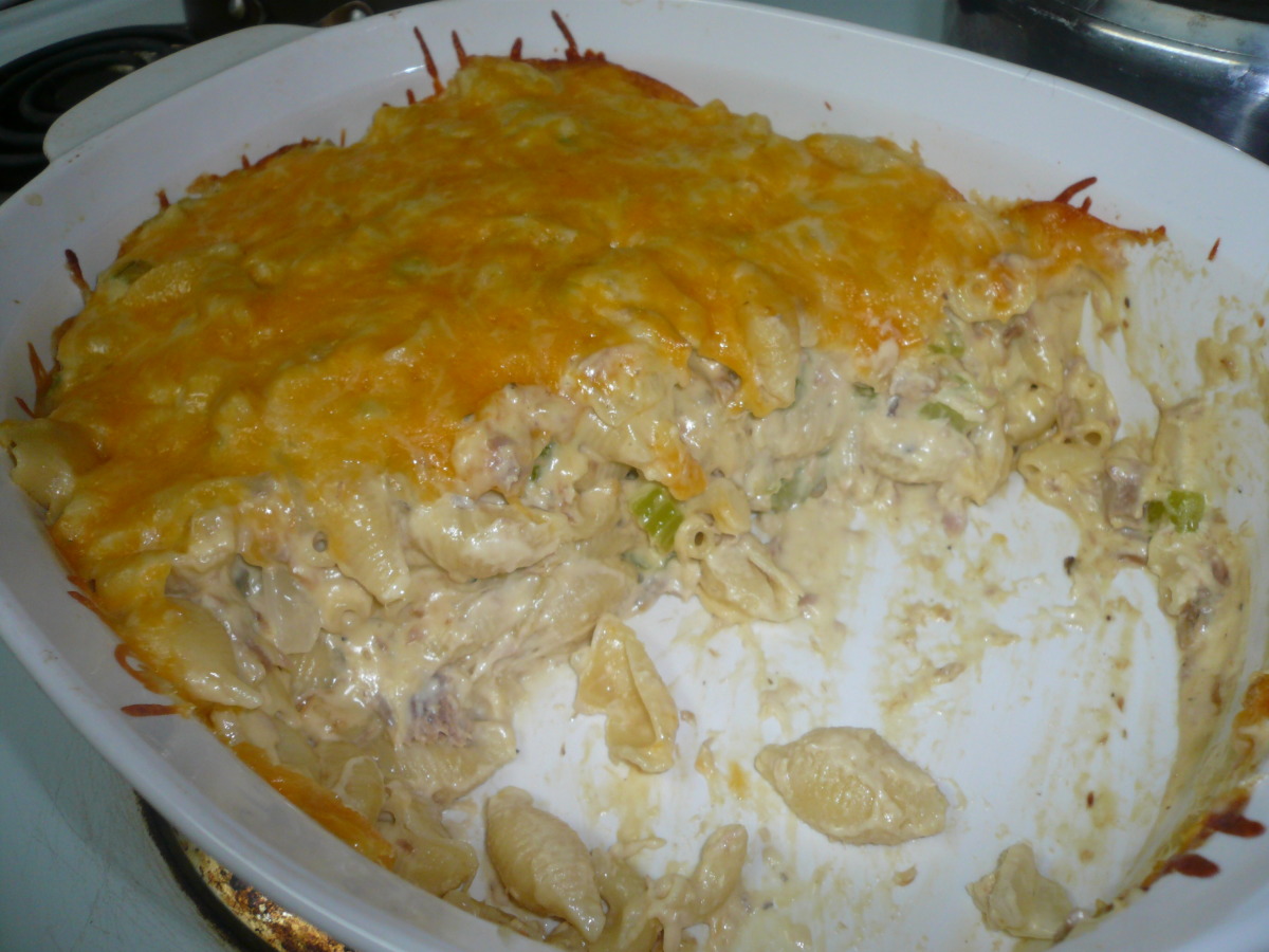 Creamy Tuna and Shells Casseroles