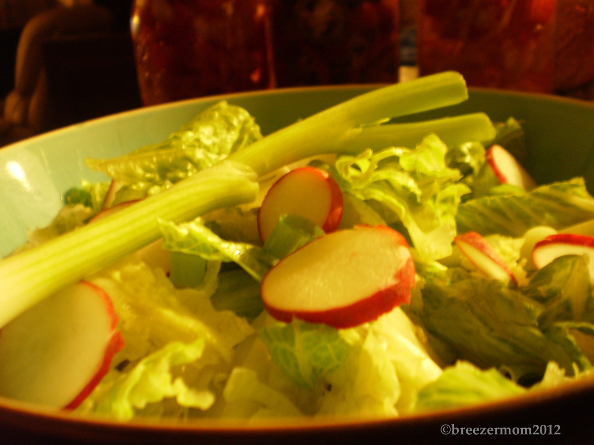 Salad With Radish and Green Onions image