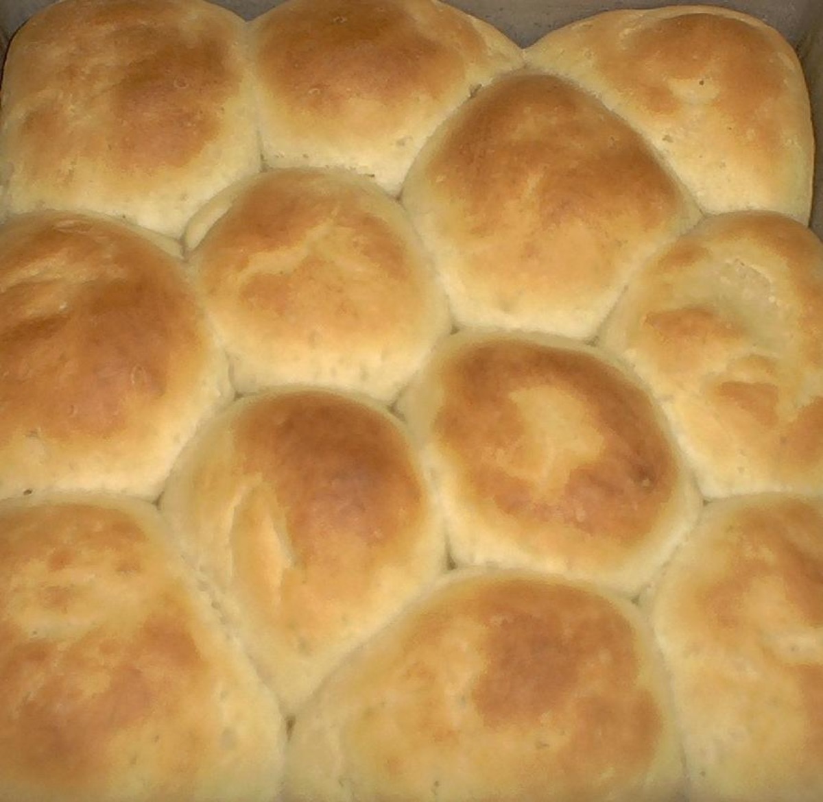 Buttermilk Pan Rolls image