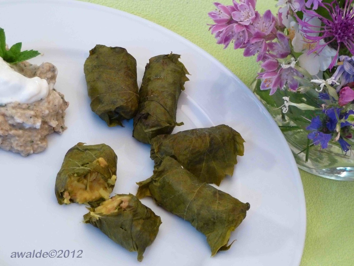 Stuffed Grape Leaves Persian Recipes recipe