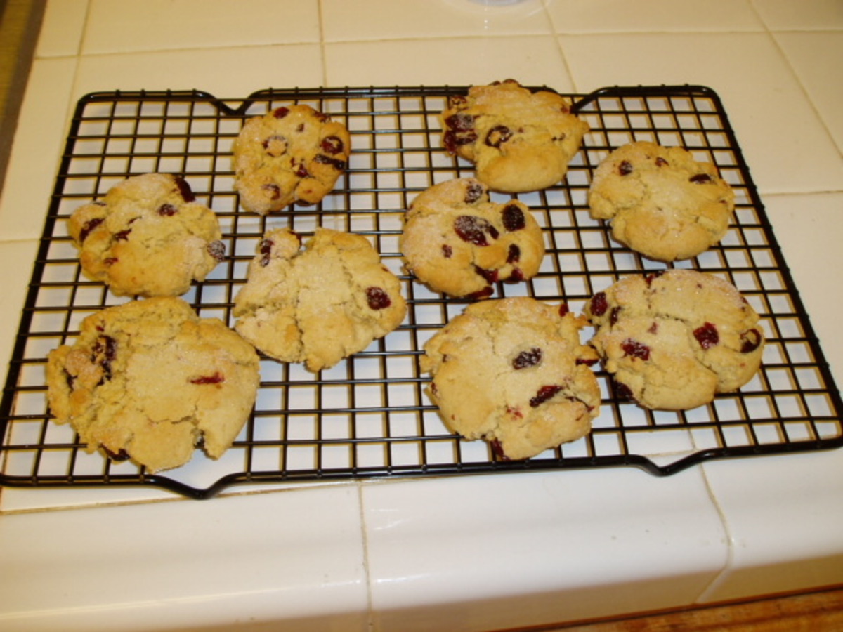 Macadamia Butter Cookies With Dried Cranberries_image