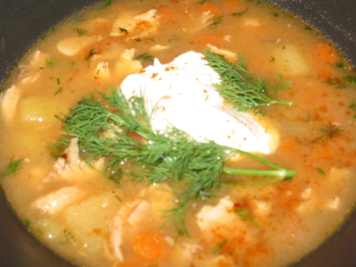 Polish Chicken Noodle Soup Recipe - Food.com
