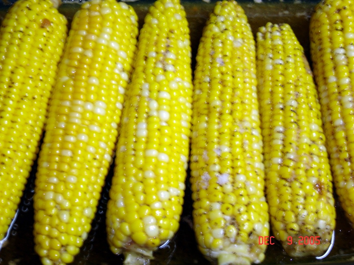 Fresh BBQ Corn With Honey Butter