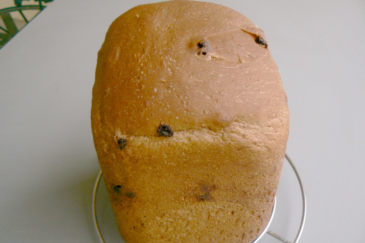 Chocoholics Deeply Delicious Dark Chocolate Raisin Loaf (Abm)