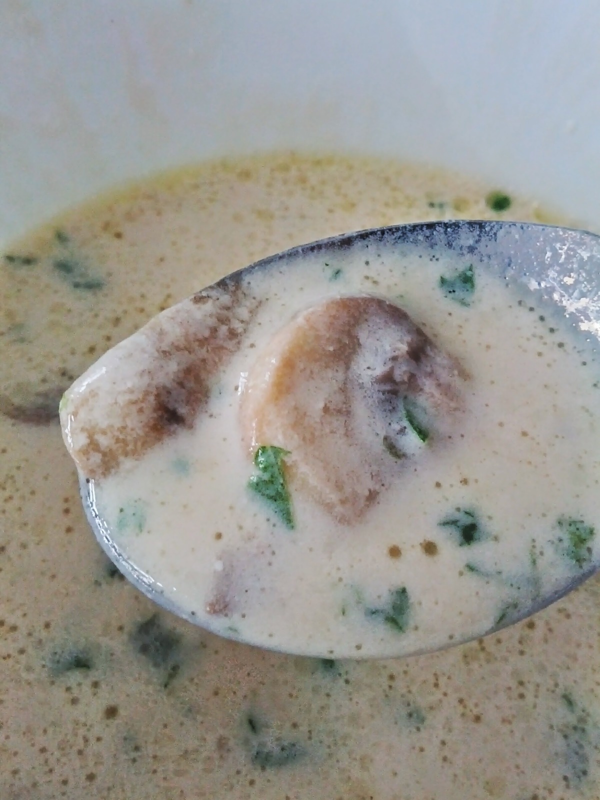 Fresh Mushroom & Parsley Soup