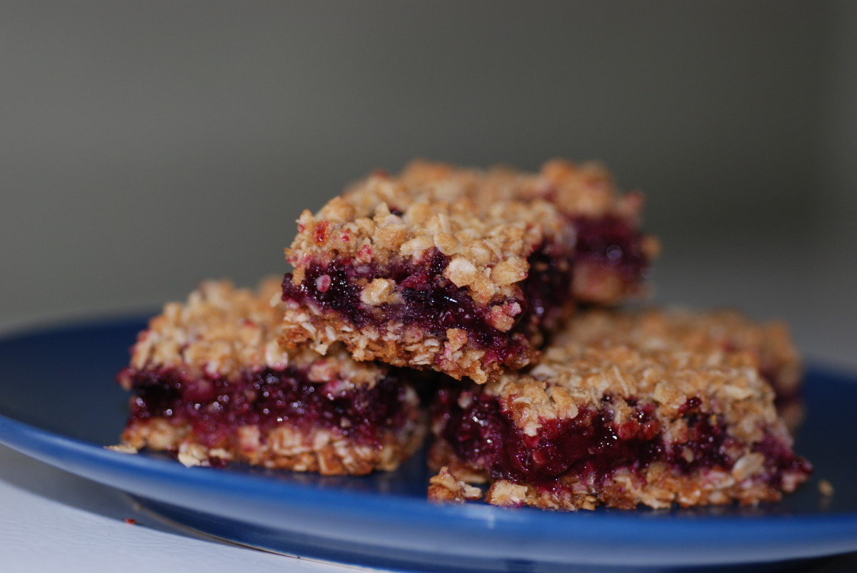 Blueberry Picnic Bars