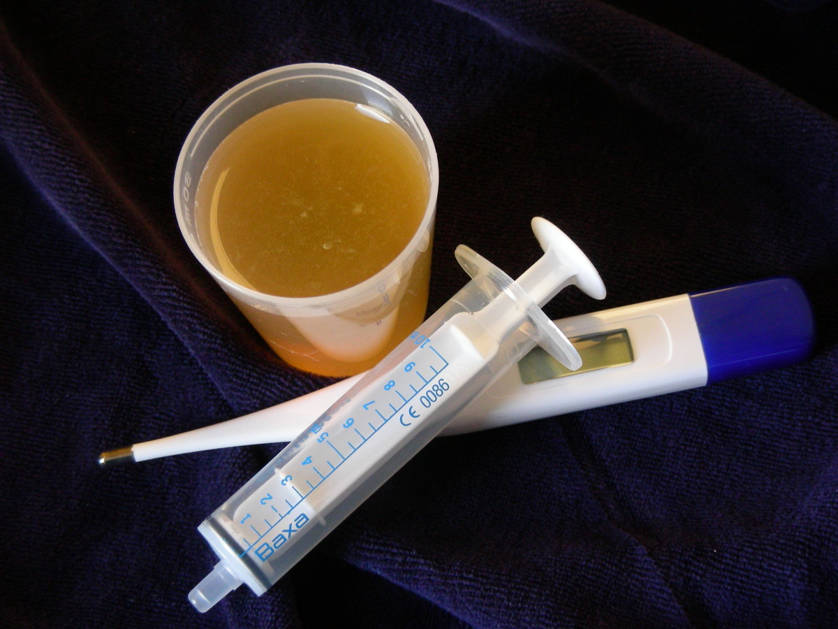 Homemade cough syrup for on sale dogs