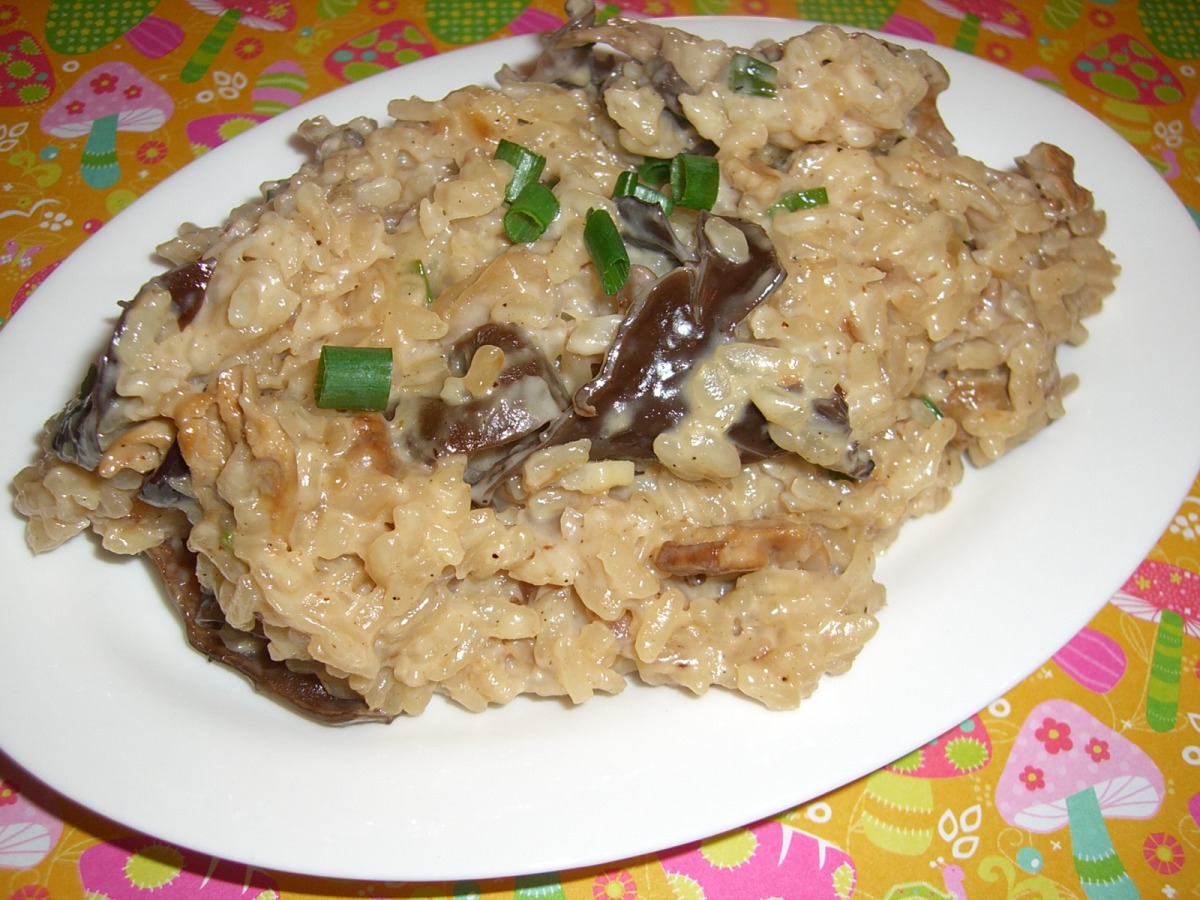 Risotto With Dried Wild Mushrooms Recipe Food Com