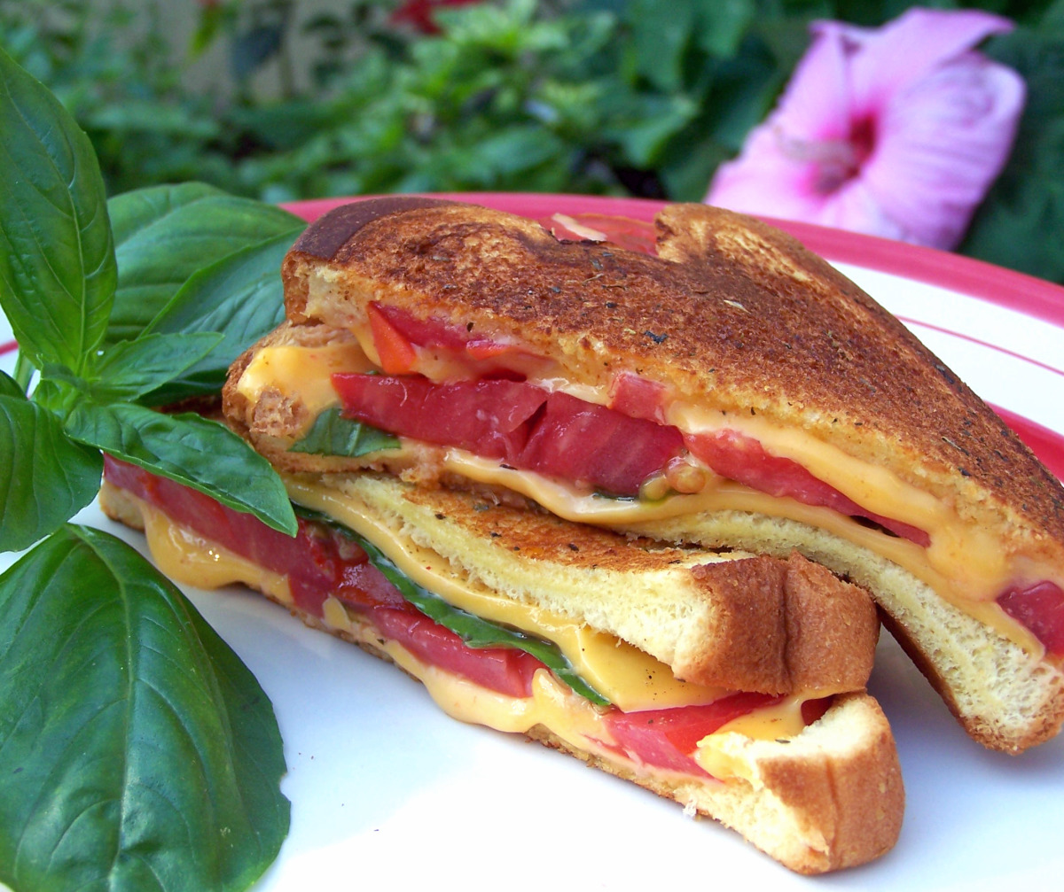 Fresh Tomato, Basil Grilled Cheese Sandwich