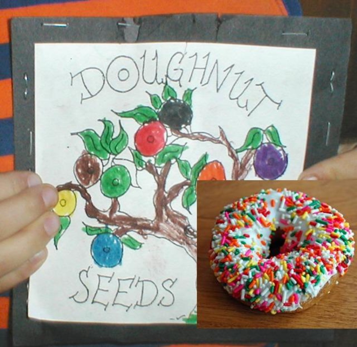 Grow Your Own Magic Doughnuts - Donuts image