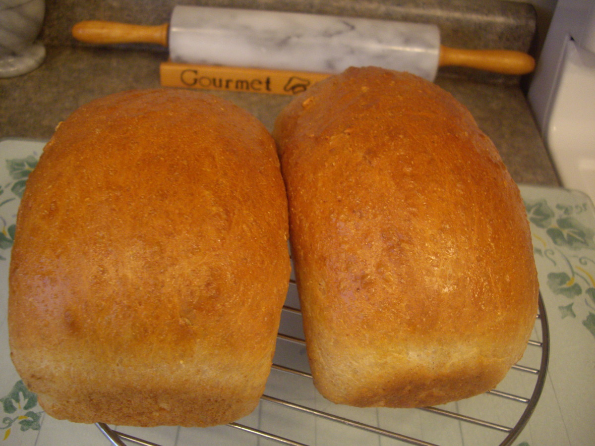 Best 20 Sunflower Bread Recipes