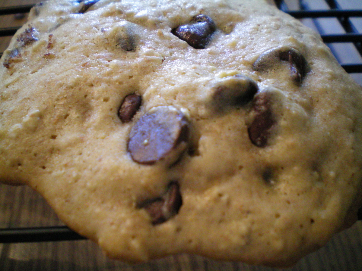 The Best Lower Fat Chocolate Chip Cookies_image