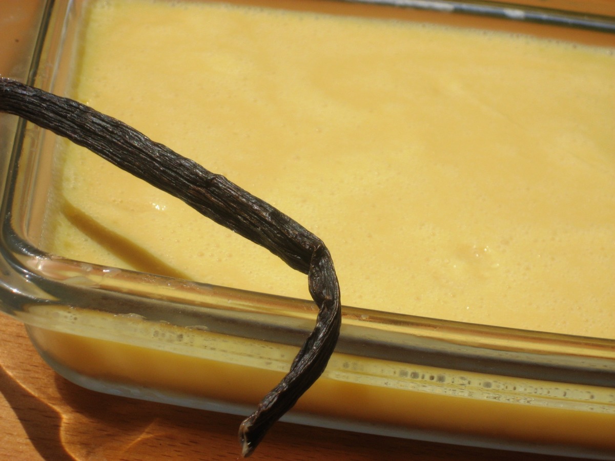 Instant Soymilk Pudding