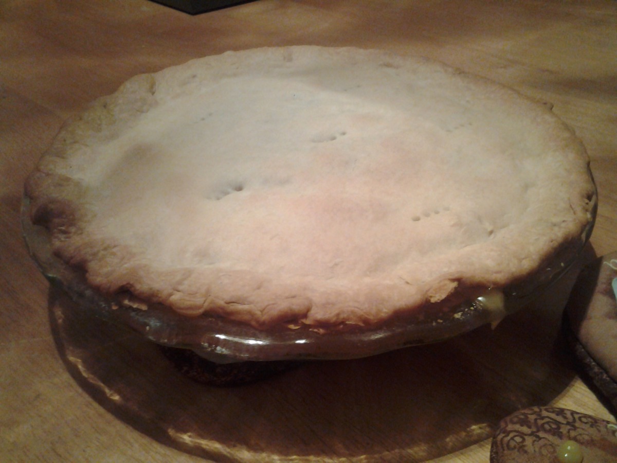 Super Fast & Easy Chicken Pot Pie Recipe - Food.com
