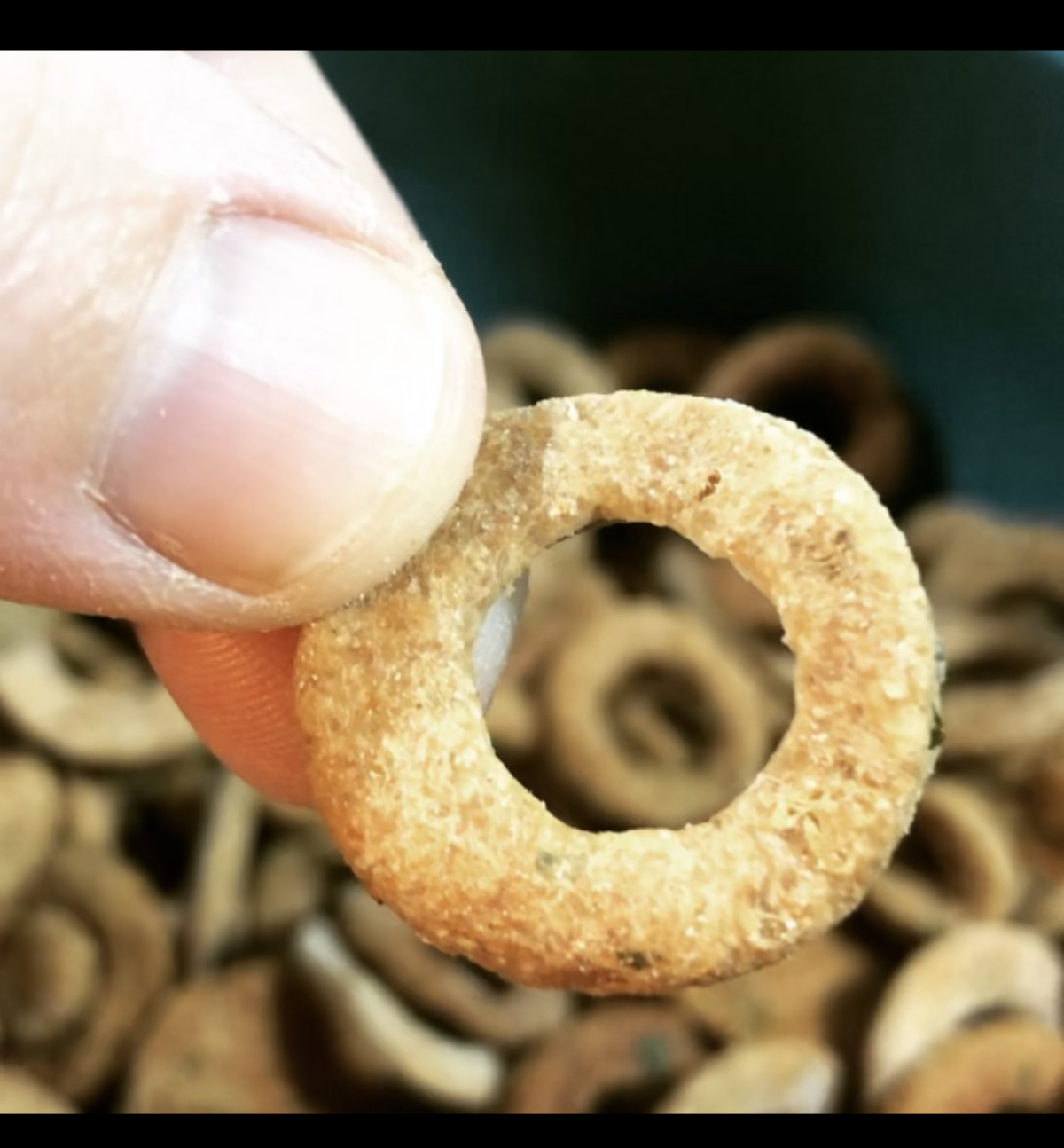 Crunchy Tuna Cat Treats