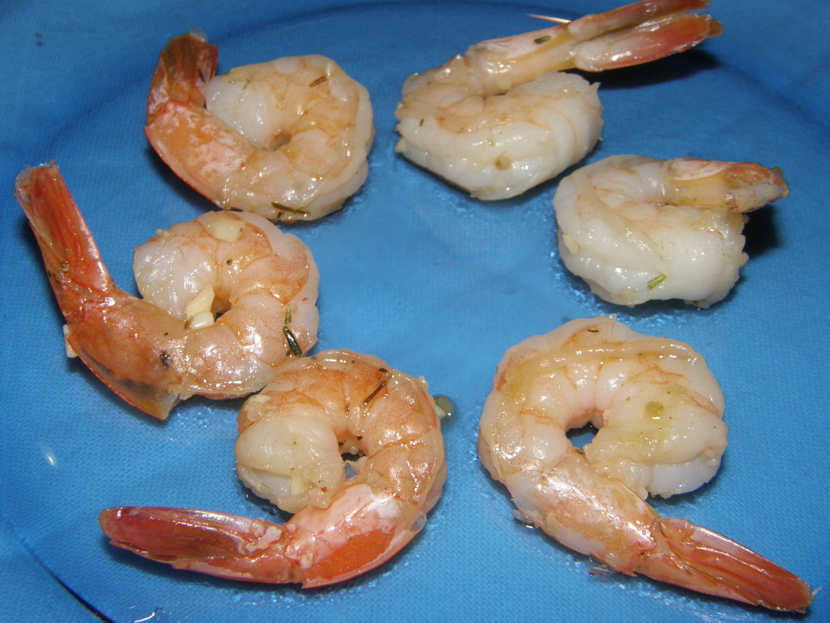 Shrimp_image