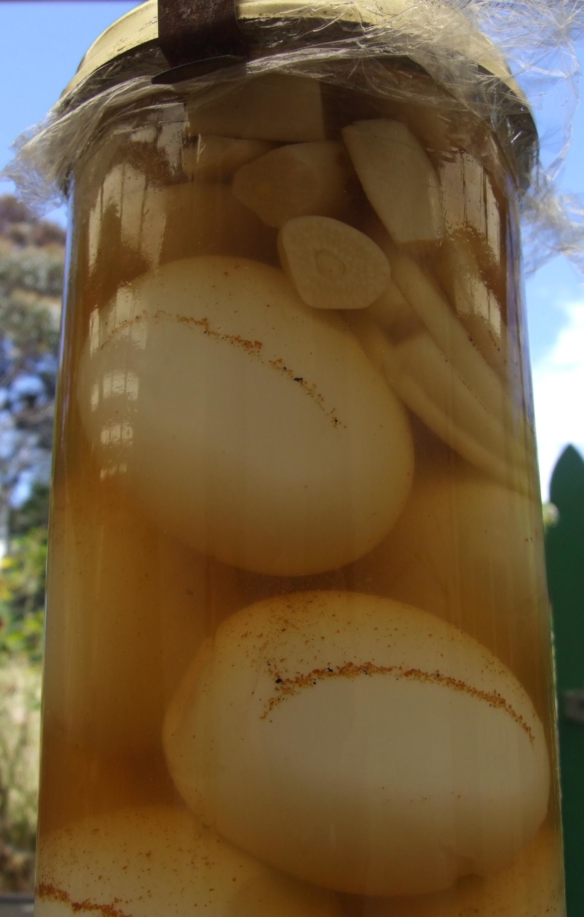 Garlic Pickled Eggs image