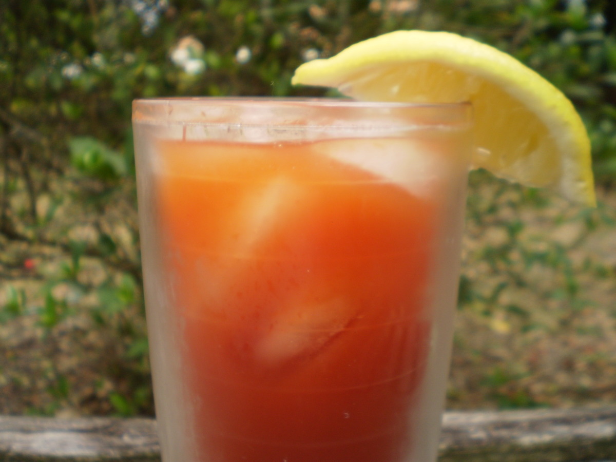 Spicy Cajun Bloody Mary Mix Recipes recipe