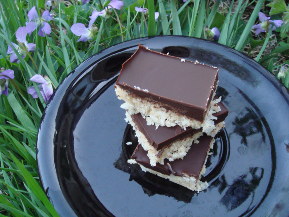 Coconut Chocolate Squares image