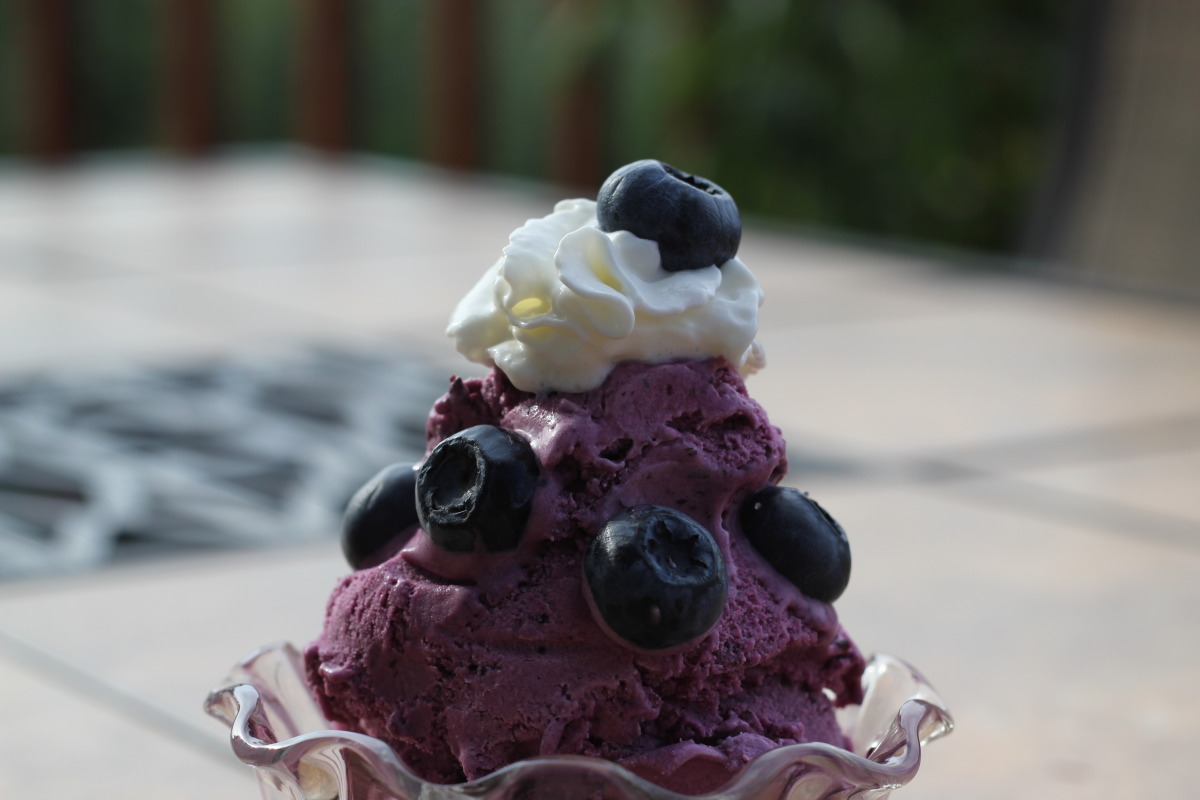 Blueberries and Cream Ice Cream image