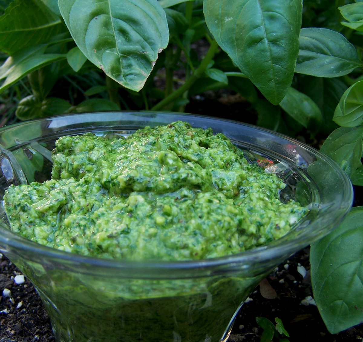 Arugula Basil Pesto
