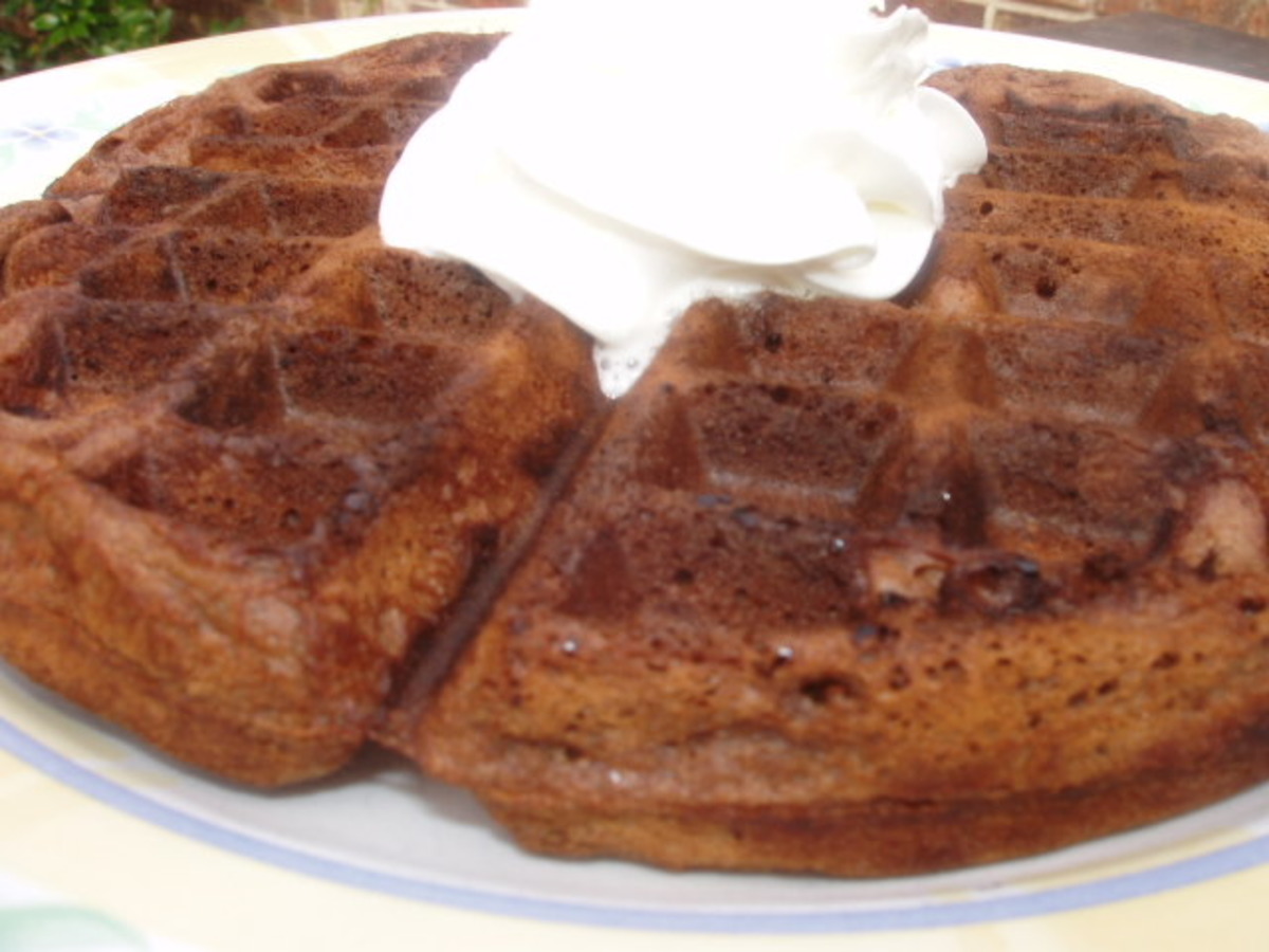 Good Eats Chocolate Chip Waffles Alton Brown Recipe Food Com