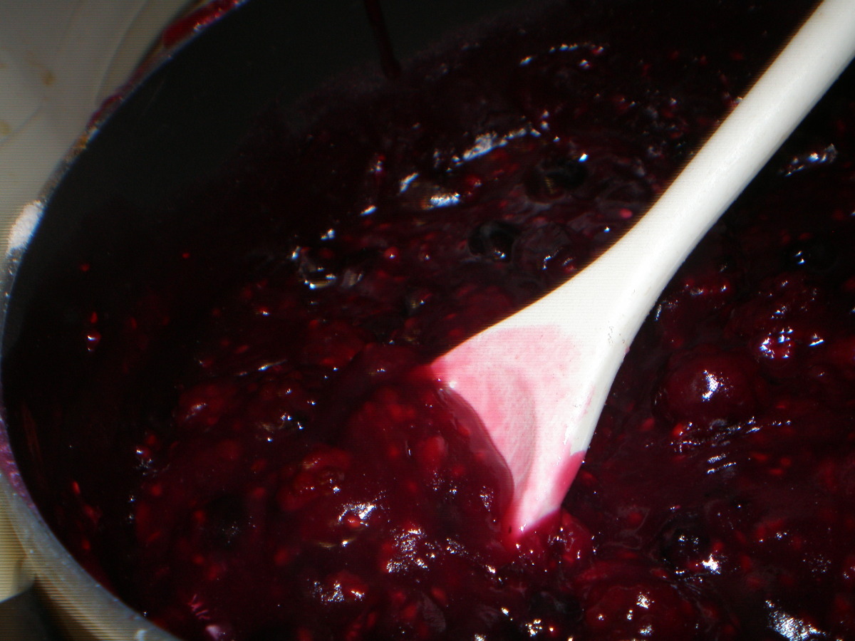 Thick Blueberry Sauce image